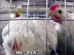 ι18�ֿ�����40�쳤5�� ���ּ������ڿϵ»�������