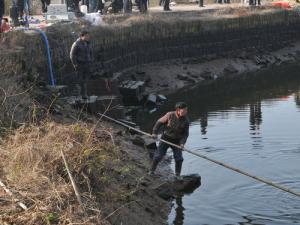 ����У��׹ˮ���11����ͯ���� ˾������԰������ͼ��