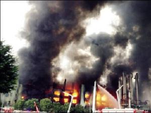 Ƥ�ﳧ����� ��ը������