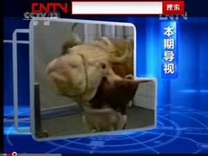 ����ţ�⡱����� �������ѽ�ֹ����(ͼ)