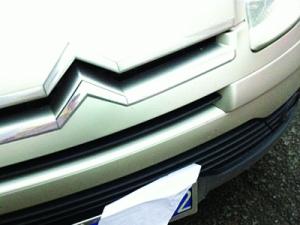 ���������Ű�ֽ����12�� ����������"����"?(ͼ)