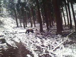 Ұ������èҲ������ ͵�Դ���������(ͼ)