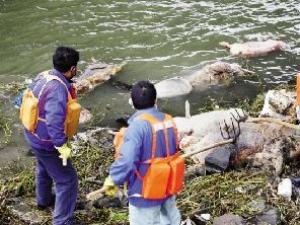 �Ϻ����ֽ���������2800��ͷ