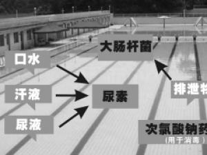 ��Ӿ�ص�ˮ���������������ߵ���Ӿ�ظɾ���