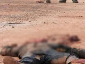 ����������άȨ���������־� ������𹫲�����