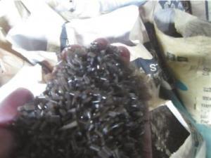 5��1�ս���ڼ� ����Ʒ��ݲ;���������״�����ǣ�ͼ��