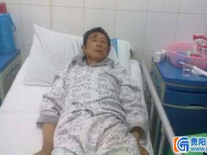 ĸ���ֵ���Ұ��͵Ϯ 80��ĸ�����������Ұ��ë��ͼ��