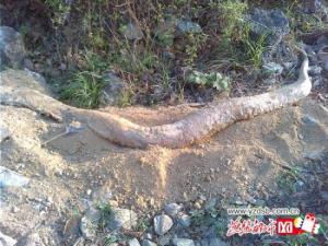 �������ӡ����±����� �����׻�����(ͼ)