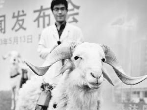 �ҹ����˹����ࡱ���������ѻ�61��(ͼ)