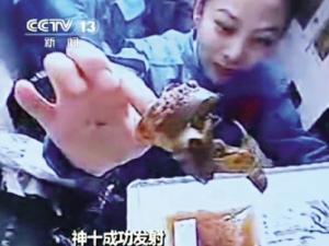 ����ԱƷ��ɳ�� ̫���Ͷ���ף��