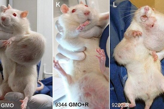 ������ѧ�ң�ʵ��֤��ת���������շ�������ͼ��