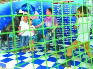 ����Ա����ʨ �Һ��ҵ�С��鶼�����ˣ�ͼ��