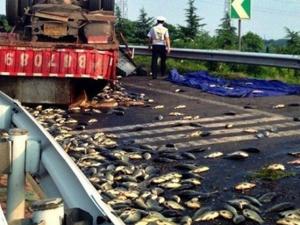 ������������������� ���¹����㱻������ 