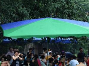 �����ٷ����º�ɫԤ�� ����ˮ�����齫���� 