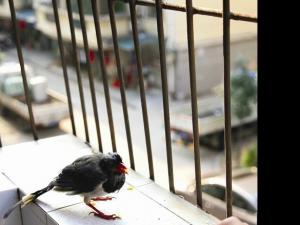 �˲�������з����ټ����� ϵ�Ŵ���˵����(ͼ)