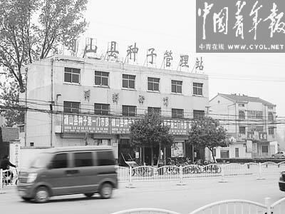 ����άȨũ�񱻱Ƶ������С��