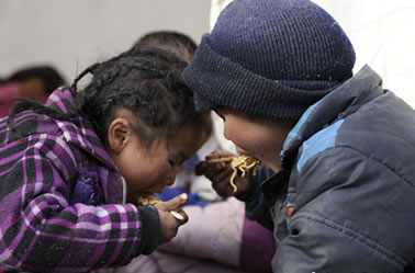 �������������ǵġ��ǳ�������