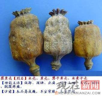 �Ĳ�ί�ϲ�����������