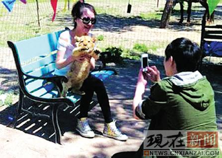 ��ʮ�ֻ���ͨ�����������¼���