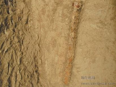 �ܲٸ���1��Ĺ���շ���ֱ��