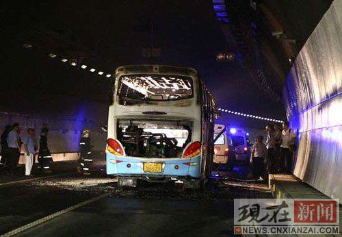 ���������೵���ϵ��Ϊ�ݻ�