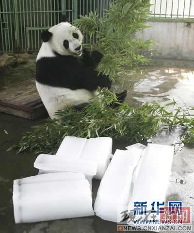 ������è�����������ӷ����̾�