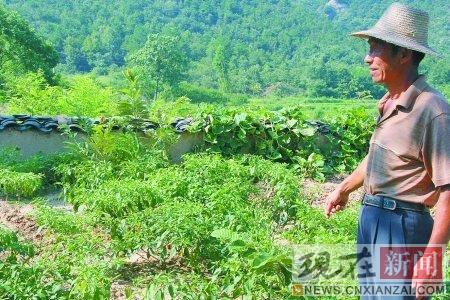 ʷ������ 23��С���������