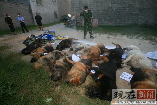 ������Ȯ����29ֻ��Ȯ��������ҩ������