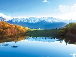 ���壺��ǰ�������������