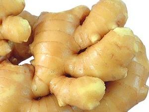 �����̷������Ѭ������ �������˺�����