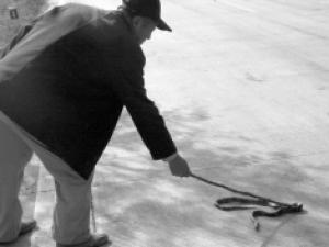 ������Ⱥ�Ϲ�·��ɹ̫���� 