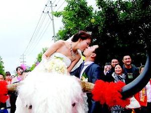 ��н��160�����񣡴������������ţ