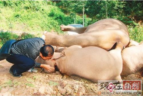 ����̰������ ĸ��Ӫ�ȴ�����ӵ����(��ͼ)