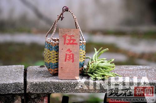 С����̯���˿��������Ծ����� �˼�10��δ��