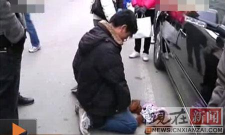 ��С��ײ�����ﹷ ûǮ�ⱻ�Ƶ��ָ����¹�