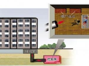 ������������ڵؽ� ������������Ů�ӵ���ū