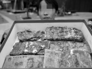 8��Ԫ��Ʊ�����13��ɡ���������