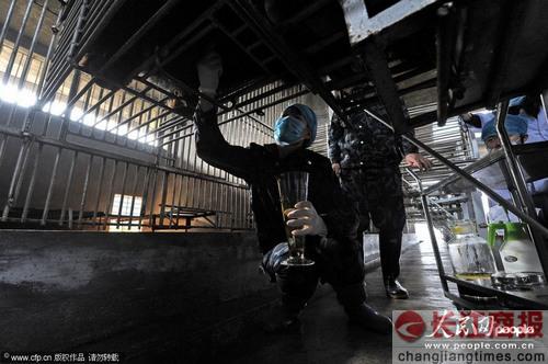 �����������㲻������֪��ʹ ԭ���ܵ�����ͷ