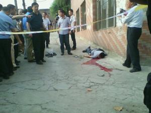 ����Ƶ�������ܿ˻� �����������칫���ְ䷢�ν��� 