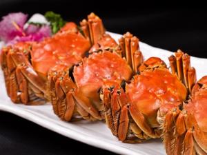 �㽭ͩ�繫֤����Ա��ָ��16��Ԫ�����κ����з