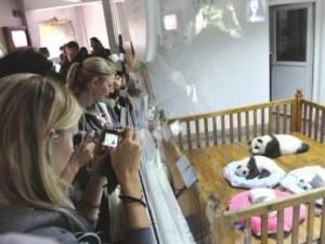 ����²��Ǽ��ı��� �ǰ��˴���è