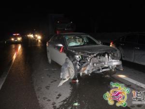 ����·��ͻȻ�ܳ�һֻҰ�� �γ�ײ�ϡ������ˡ�