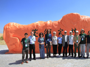 Ī��ɳĮֲ�� �Ʋ��õ��ı���ɳ������