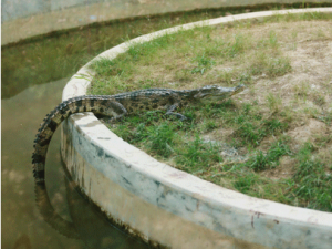 ��ˮ���������顱����������