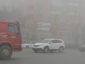 ������������ɫԤ��������Ч �ܼ��Ȳ���100��