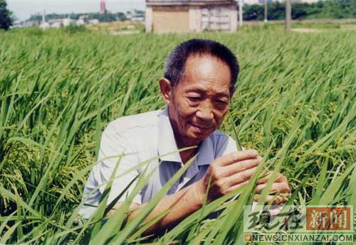 Ԭ¡ƽ����Ǯ������ѧ��̫����