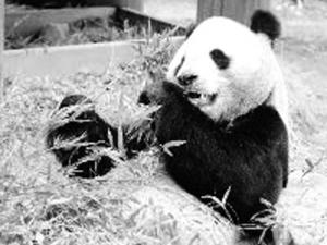 ������ҵ��:���ձ�ȡ���������èϵ��Ϣ����