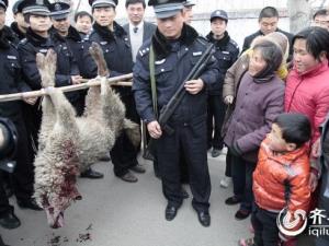 ����ǹ��һֻ�� Ϊ�ζ��ð��ྯ����ͼ��