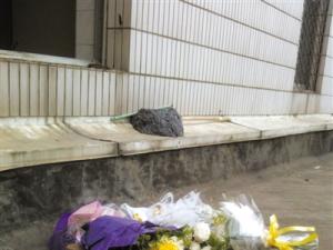 �˴�ϵ����׹�������� �ų����ӵ���ͬ��ì��˵����һ