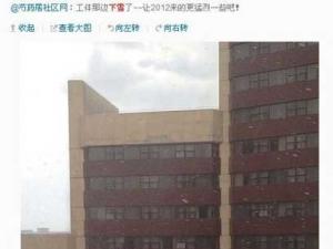 ���ţ����������·�ѩ Ӫ�ڵ��� ���ݵ���